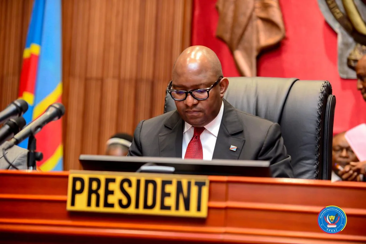 Séance plénière du Sénat de la République démocratique du Congo au Palais du Peuple à Kinshasa