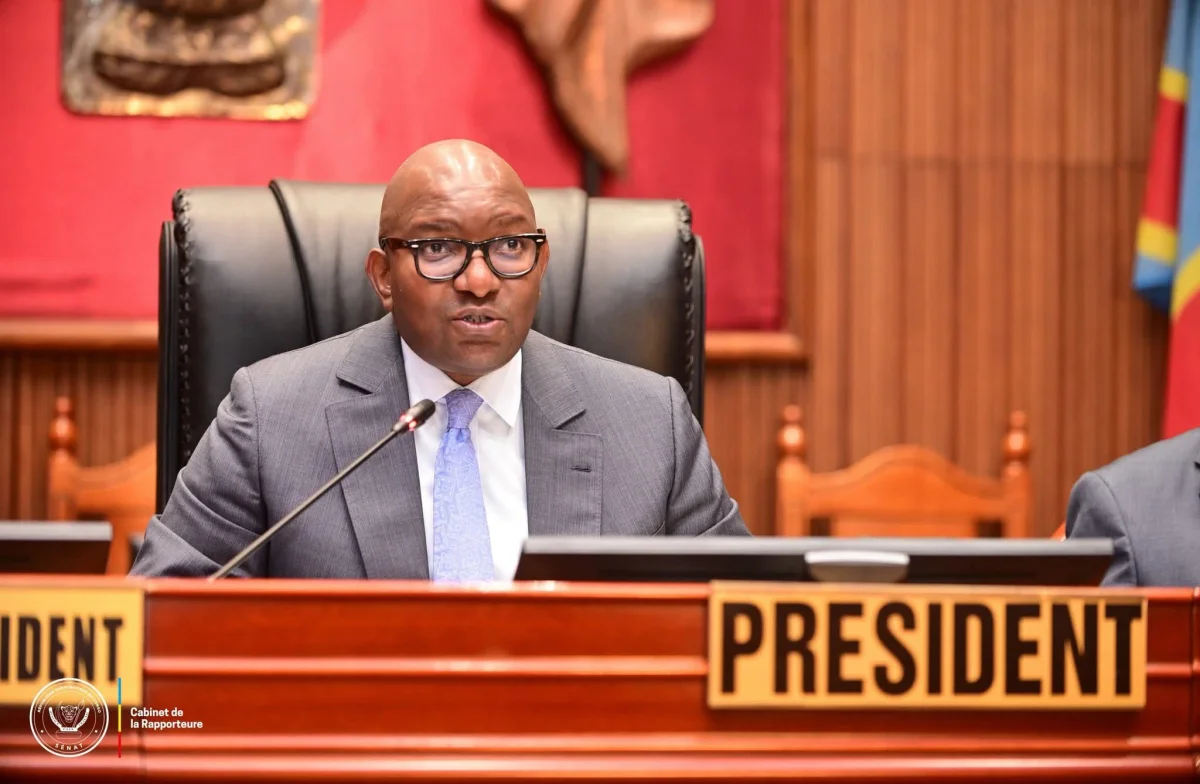 Sénateurs congolais réunis en séance plénière au Palais du Peuple à Kinshasa